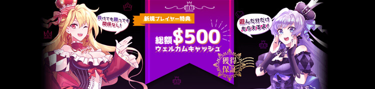 インターカジノボーナス画像