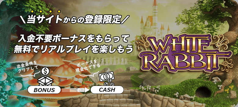 White Rabbit入金不要