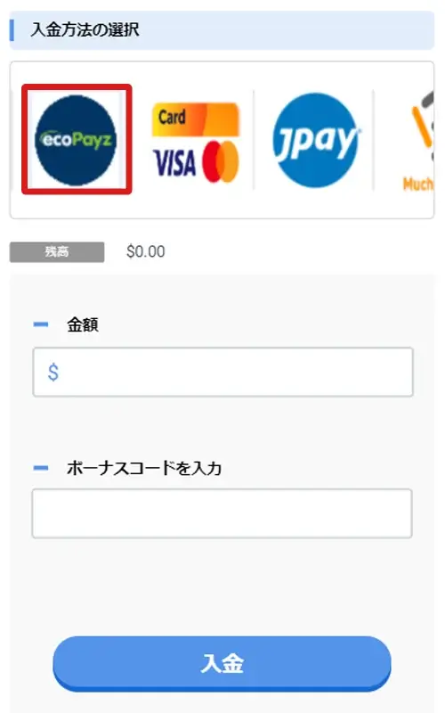 ecoPayz決済